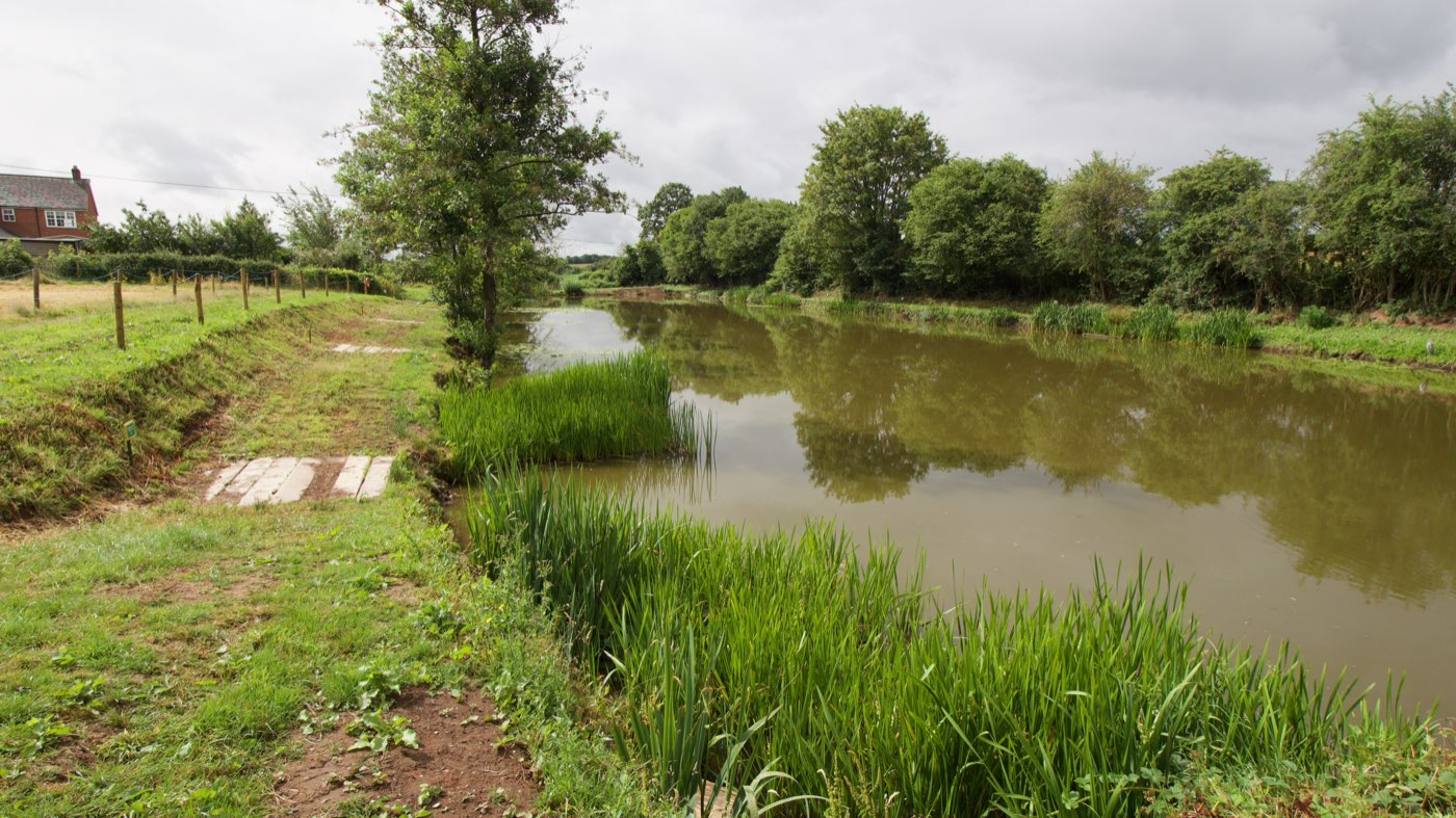 A level swim on the bank, looking down the pool