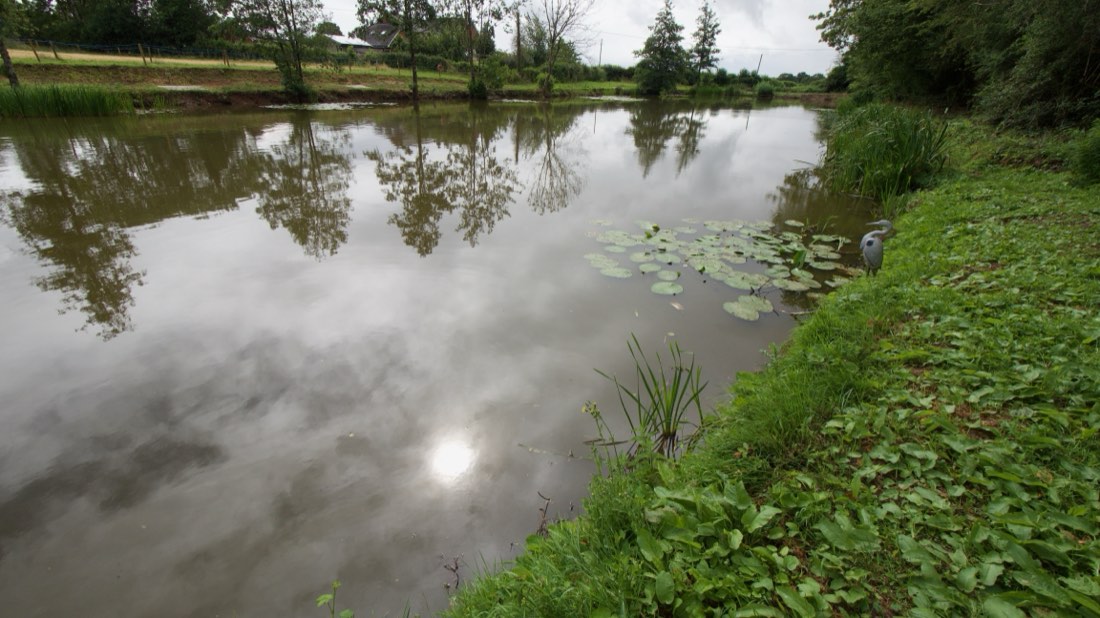 Calm water at Hammersley Pools with a heron on the far bank